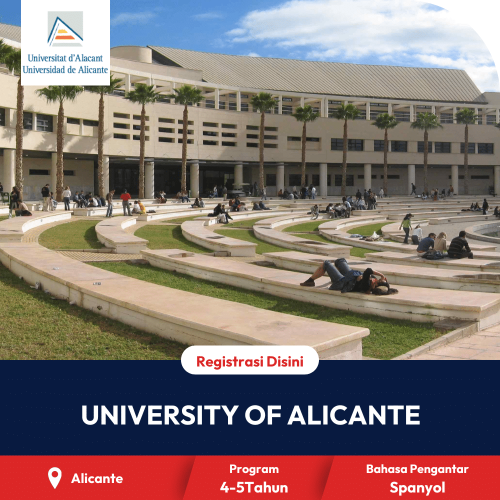 University of Alicante Spain